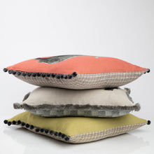 Load image into Gallery viewer, Pedigree Billy Coo Cushion
