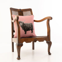 Load image into Gallery viewer, Billy Coo Pedigree Cushion in Pink sitting on an antique chair