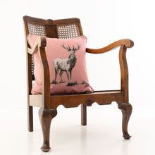 Load image into Gallery viewer, Pedigree Steve Stag in pink on an antique chair