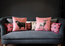 Load image into Gallery viewer, Rosie Loves Bruce Cushion collection
