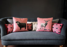 Load image into Gallery viewer, rosie loves bruce cushions