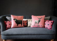 Load image into Gallery viewer, rosie loves bruce cushions
