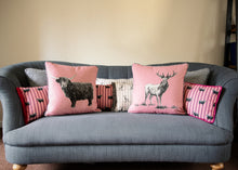 Load image into Gallery viewer, Rosie Loves Bruce Cushion Collection on sofa
